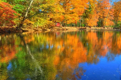 Lake In Early Fall Wallpapers Hd   Free Android Application ...