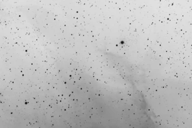 White iphone wallpaper For iPhone 5 5c 5s 640x1136 space black dots.jpg