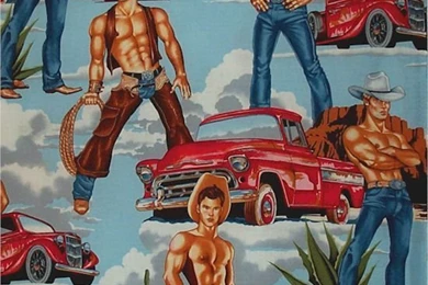 Cause Every Gal Dreams Of Gay Cowboy Wallpaper...