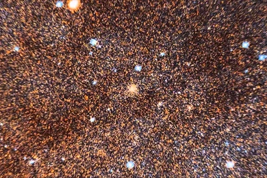 Hubble's Andromeda Galaxy Image Shows Over 100 Million Stars ...