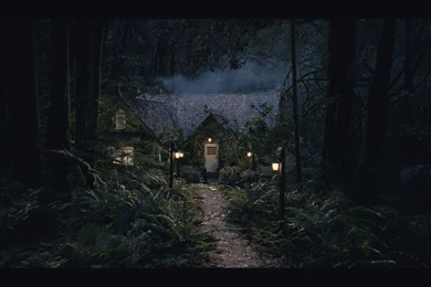 THE TWILIGHT SAGA: BREAKING DAWN   PART 2 : Laurent Spillemaecker ...