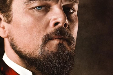 Leonardo Dicaprio Wallpapers   (