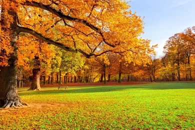 Scenery Backgrounds 3362   HDWPro