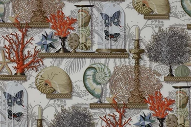 0 2591 le cabinet de curiosities.jpg