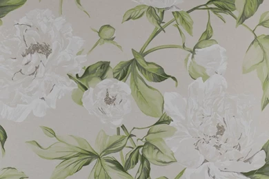 Silver River Classic Wallpapers