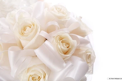 Free Wallpapers   Free Flower Wallpapers   Wedding Flower2 Wallpapers ...