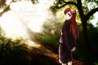 Bleach Pics   Bleach Lovers! Wallpapers (28726741)   Fanpop