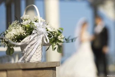 Free Wallpapers   Free Flower Wallpapers   Wedding Flower2 Wallpapers ...