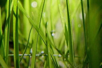 100 HD Iphone 4 Wallpapers