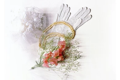 Download Beautiful Accessories Wedding Wallpapers Free By Udhao.net