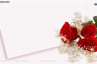 Wedding Backgrounds Wallpapers