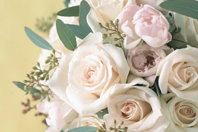 Free Wallpapers   Free Flower Wallpapers   Wedding Flower Wallpapers ...