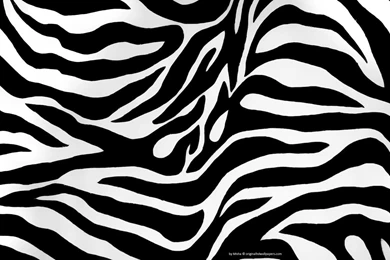Free Zebra Backgrounds Wallpapers