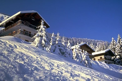 Free Screensavers Download   SaversPlanet.com