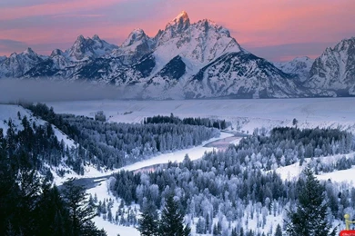 The FrozenMountain Pack And The FrostyDawn Pride (Roleplay!)