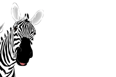 Zebra Backgrounds   ClipArt Best