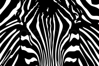 Vector   Black And White Zebra Backgrounds