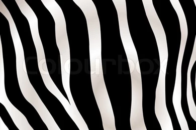 Zebra Background. Type Of Striped African Animal Which Resembles A ...
