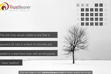 Best Websites 4K Or HD Wallpapers For Your PC, Mac Or Mobile Device