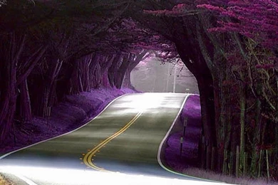 Wallpapers Download Mobile   HD Wallpapers Pretty