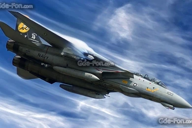 291831_avia_istrebitel_f 14 tomcat_1920x1200_www.Gde Fon.com.jpg