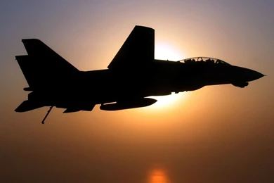 F 14_tomcat_wing_retracted_silhouette.jpg
