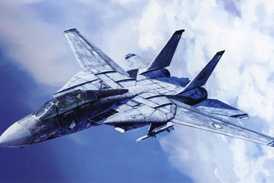 Grumman F14 Tomcat Aircraft Artwork Skyscapes Vehicles Wallpapers ...