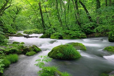 Rivers Wallpapers Static River Nature 1920x1080   Nature Wallpapers HD