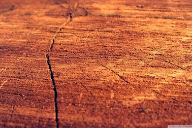 Download Wood Wall 2 Wallpapers 1920x1080