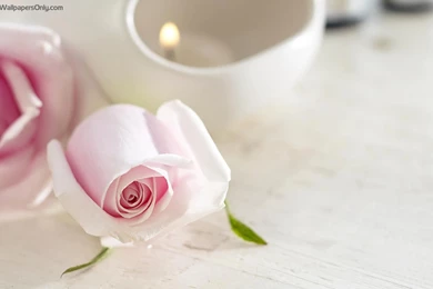 Wedding Photos Wallpapers