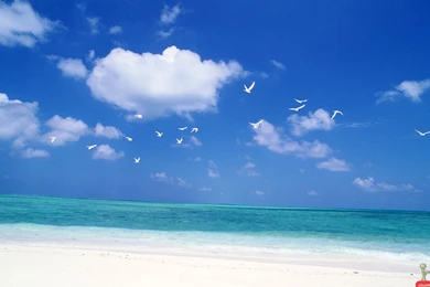 Very Beautiful HD Beach Wallpapers – HD Wallpapers Free Download