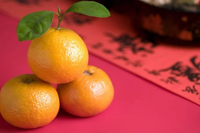 Latest Chinese New Year Wallpapers Lunar New Year Hd   Latest Updates