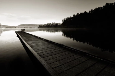 I Have Had This Picture As My Work Laptop's Background. It Took Me ...