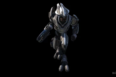 Halo Elite Evolution, Halo Reach, Cartoon, Friends, 1920x1080 HD ...