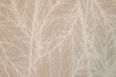 Gingezel Fabric   The Beige Standard Collection