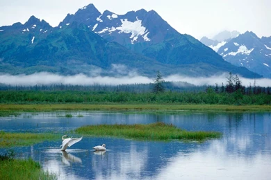 Alaska background.jpg