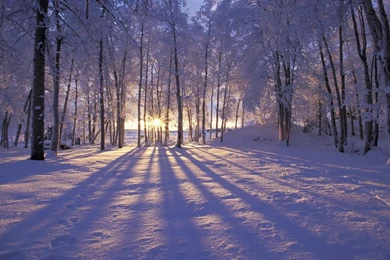 The Gallery For   > Alaska Winter Wallpapers