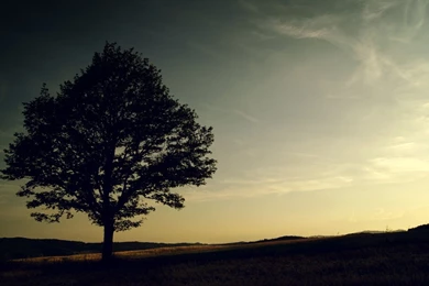 Alone Wallpapers 142857