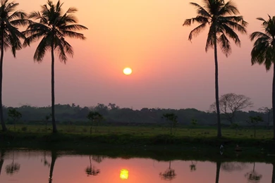 InterfaceLIFT: 1080p Wallpapers Sorted By Random