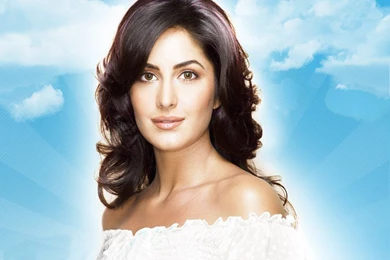 Wallpapers Io   Wallpapers Animal Hd