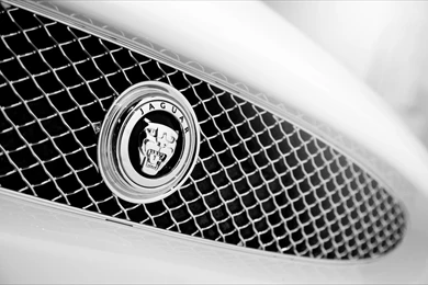 2010 Jaguar XKR   Grille Emblem   1600x1200   Wallpapers