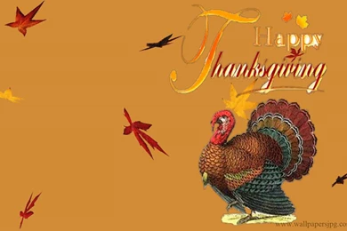 Thanksgiving Turkey Wallpapers   Wallpapers Cave