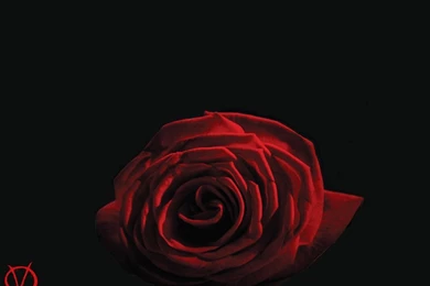 Gena Koch: V For Vendetta Wallpapers