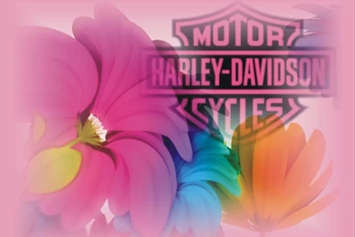 Fine Hd Pics Yankee Harley Davidson Wallpapers   MotorCycle Wallpapers