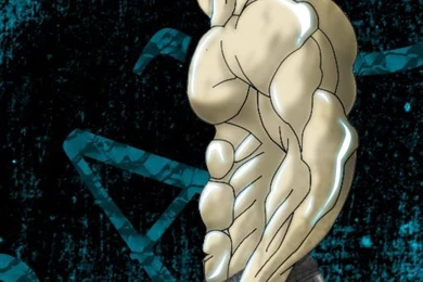 BAKI Favourites By Courvousier On DeviantArt