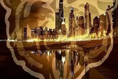 Da Bears!! On Pinterest