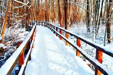 Snow Covered Bridge In The Forest Wallpapers