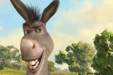 Donkey, Shrek The Final Chapter HD Desktop Wallpapers : Widescreen ...