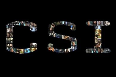 CSI   CSI Wallpapers (1324031)   Fanpop