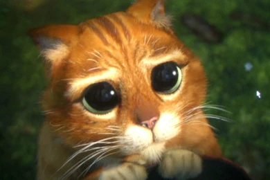 Picture Form 'Shrek 2' By C 22 On DeviantArt